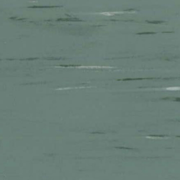 Picture of Rikett - RQT Classic 24 x 24 Sage