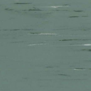 Picture of Rikett - RQT Classic 12 x 12 Sage