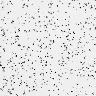 Picture of Rikett - RQT Medley 12 x 12 White Pepper