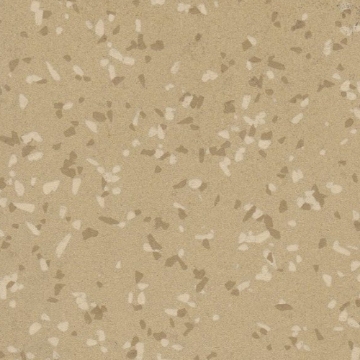 Picture of Rikett - RQT Medley 12 x 24 Pinot Gris