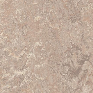 Picture of Forbo - Marmoleum Modular Marble 10 x 10 Horse Roan