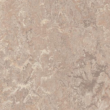 Picture of Forbo - Marmoleum Modular Marble 10 x 10 Horse Roan