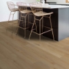 Picture of Shaw Floors - Anvil Plus 20 MIL River Bend Oak