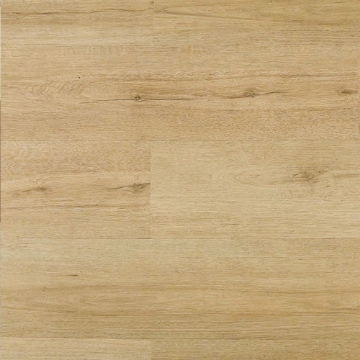 Picture of Montserrat - Omnia Bonafide Canvas