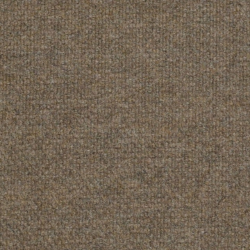 Picture of Philadelphia Commercial by Shaw - Succession II TL Sierra Sand