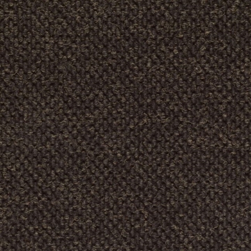 Picture of Philadelphia Commercial by Shaw - Succession II TL Tarmac