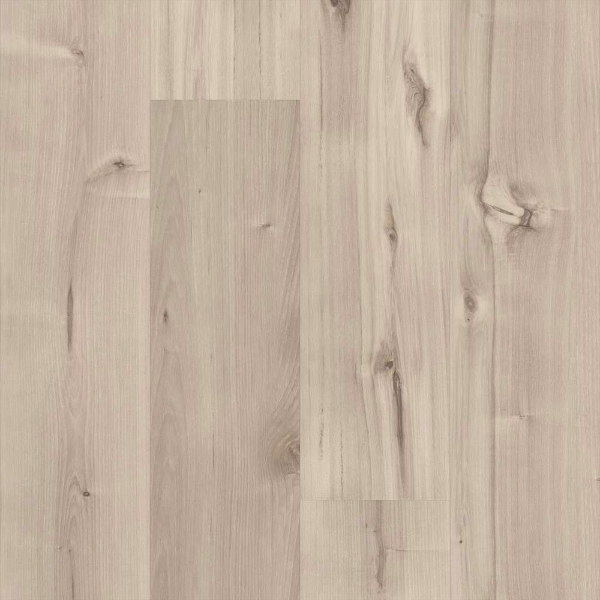 Picture of 5th and Main - Symbiotic 20 Canvas