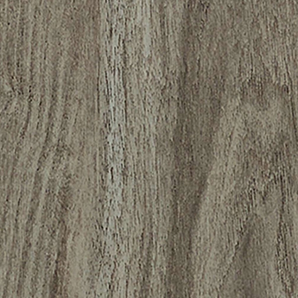 Picture of 5th and Main - Symbiotic 20 Sparrow