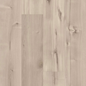 Picture of 5th and Main - Symbiotic 30 Canvas