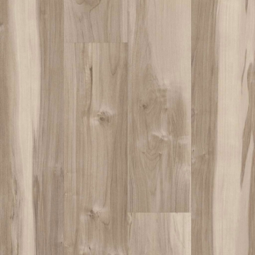 Picture of 5th and Main - Symbiotic 30 Capeview