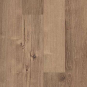 Picture of 5th and Main - Symbiotic 30 Sennawood