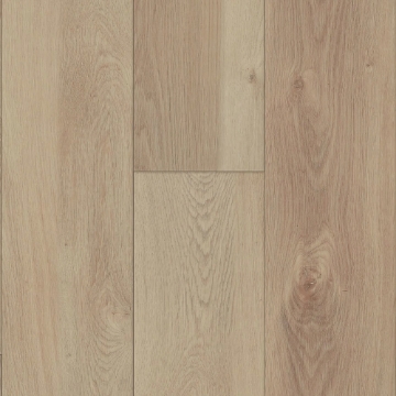 Picture of Happy Feet Intl. - Rescue Denali