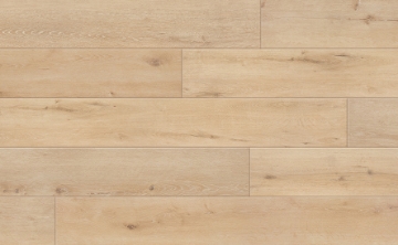 Picture of Johnson - Skyview Starlight