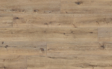 Picture of Johnson - Skyview Equinox