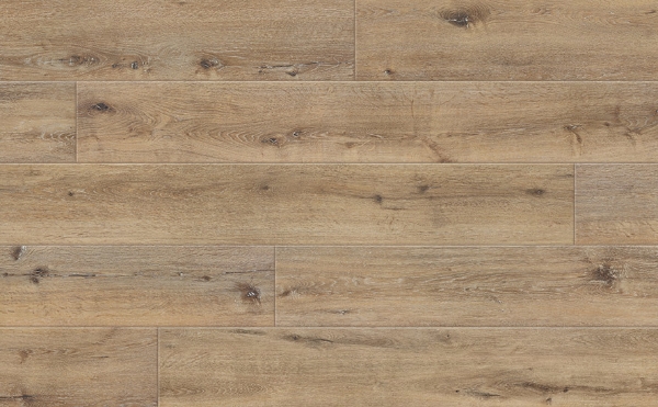 Picture of Johnson - Skyview Equinox