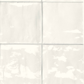 Picture of Sartoria - TSquare 6 x 6 First Snow