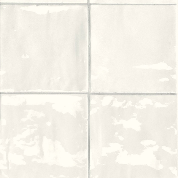 Picture of Sartoria - TSquare 6 x 6 First Snow