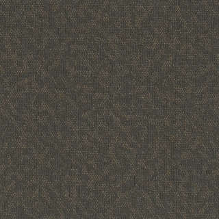 Picture of Pentz - Animated Eager