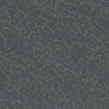 Picture of Pentz - Animated Vibrant