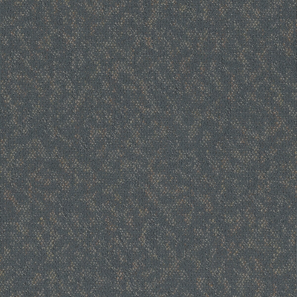 Picture of Pentz - Animated Vibrant