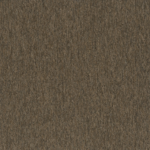 Picture of Pentz - Fast Break Coast To Coast