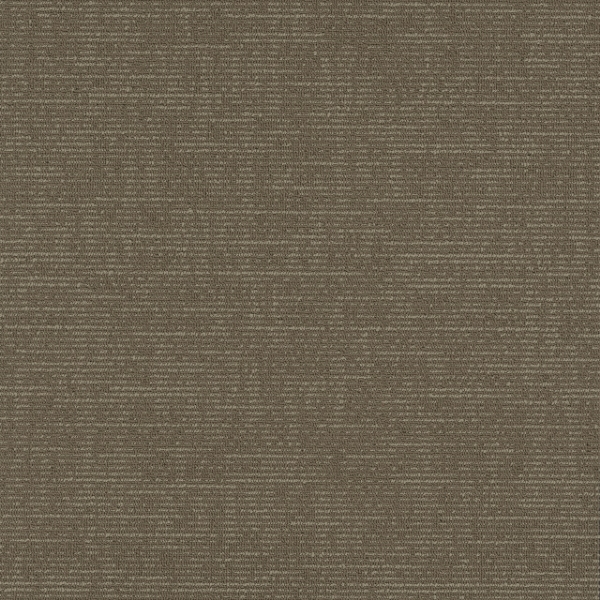 Picture of Pentz - Formation Trench