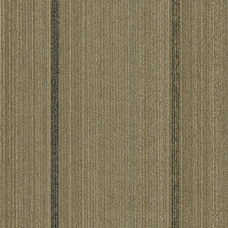 Picture of Pentz - Revival Renewel