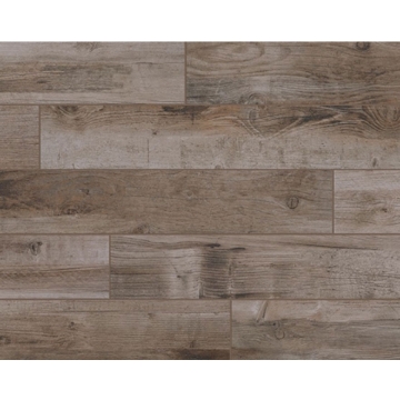 Picture of American Olean - Bryson Valley Petrified Forest