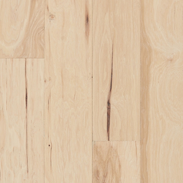 Picture of Palmetto Road - Mountain Ridge Allegheny