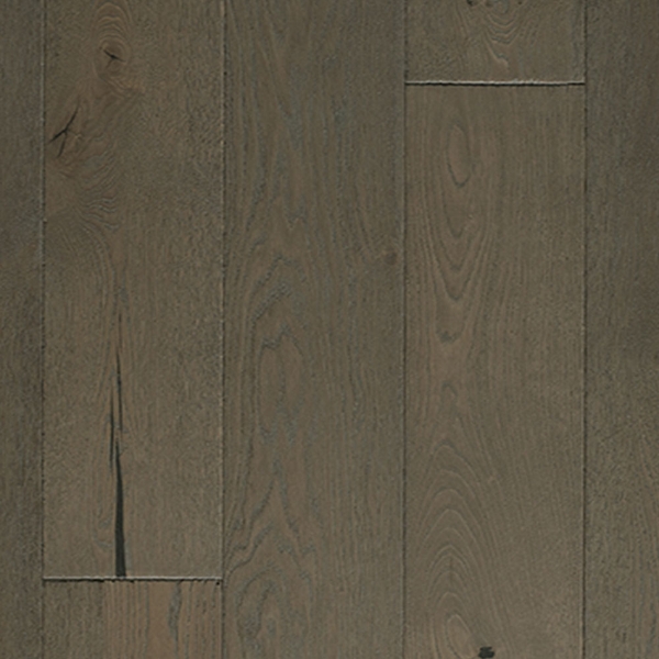 Picture of Palmetto Road - Chalmers Dolphin