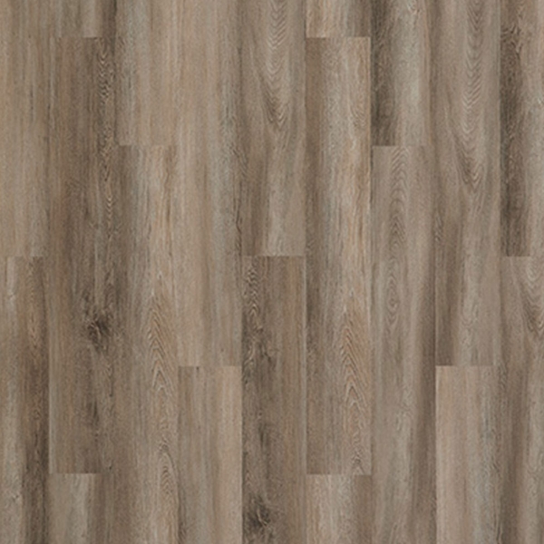 Picture of Palmetto Road - Inspire Orchard