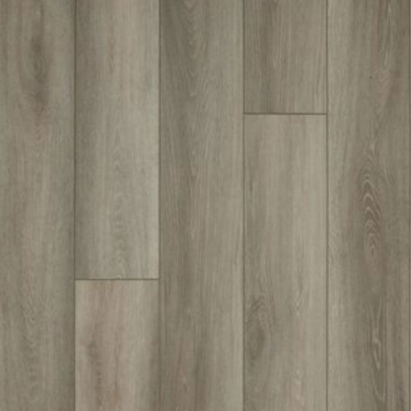 Picture of Stanton - Grove Fossil