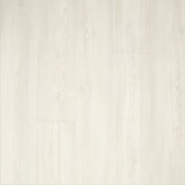 Picture of Stanton - Oceanview Blank Canvas