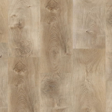 Picture of Republic - Countryside Eastern Cottonwood