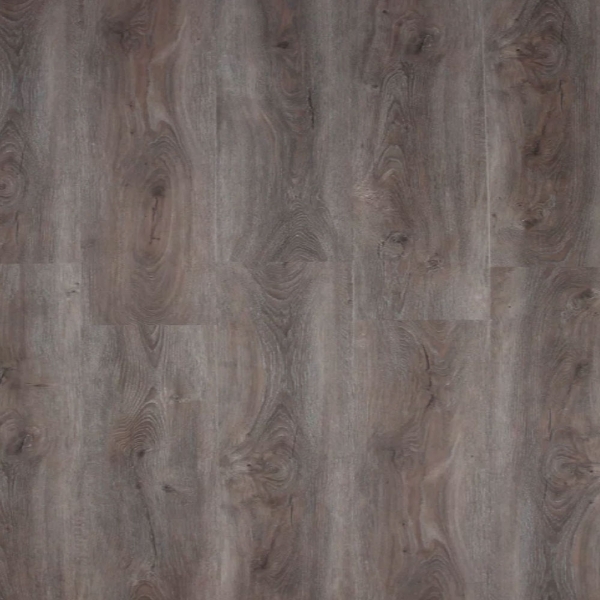 Picture of Republic - Pacific Oak Coyote Brush