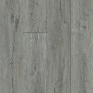 Picture of Happy Feet Intl. - Maverick Wilmington