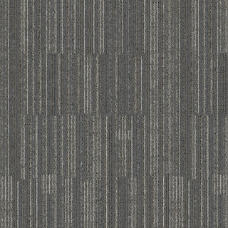 Picture of Mohawk Group - Lithosphere Tile Fossil