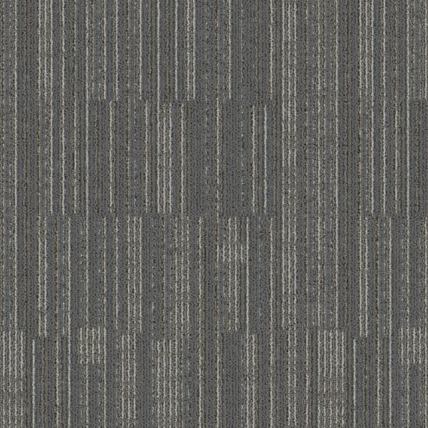 Picture of Mohawk Group - Lithosphere Tile Fossil