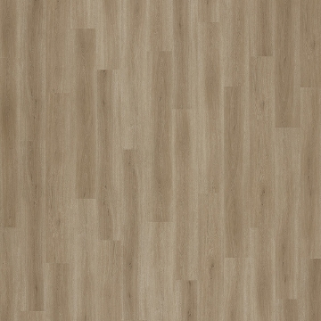 Picture of Palmetto Road - Inspire Skate