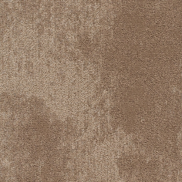 Picture of Joy - On Demand High Tide Nautilus