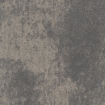 Picture of Joy - On Demand High Tide Stingray