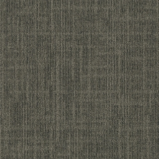 Picture of Joy - On Demand Outer Banks Fossil