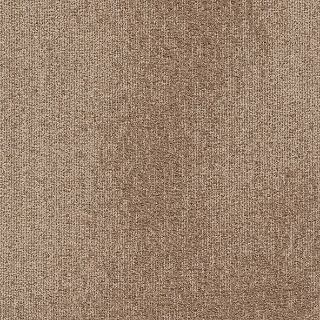 Picture of Joy - On Demand Understatement Nautilus