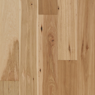 Picture of Mannington - Latitude Forest Park Natural