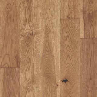 Picture of Mannington - Latitude Forest Park Sunbeam