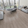 Picture of Tropical Flooring - Elysian Mod Titanium
