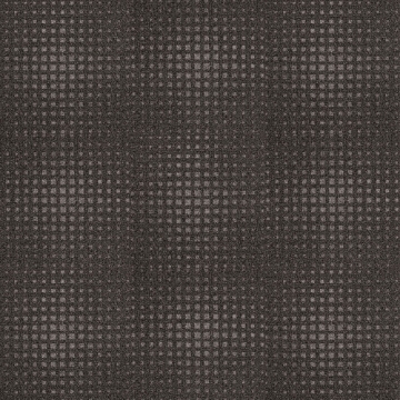 Picture of Next Floor - CleanStep Terra Firma