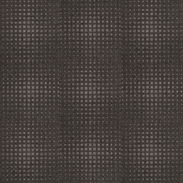 Picture of Next Floor - CleanStep Terra Firma