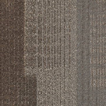 Picture of Next Floor - Dedication Harvest