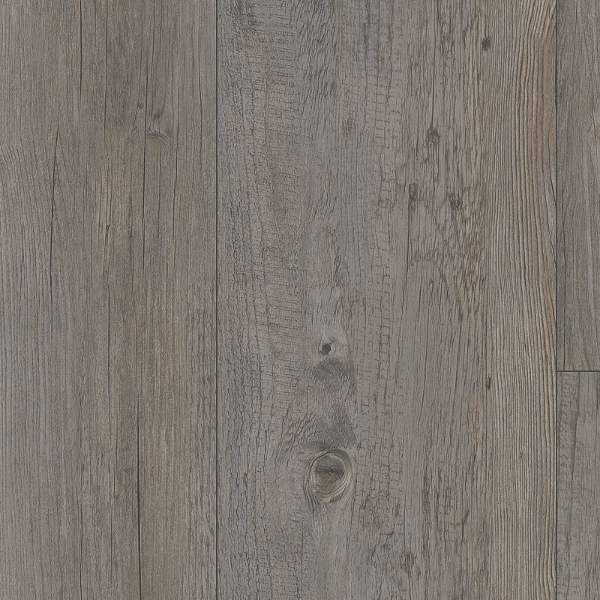 Picture of Aladdin Commercial - Parish Gotham